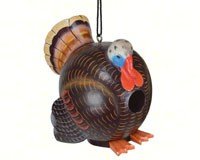 Wild Turkey Gord-O Birdhouse