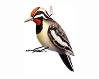 Sapsucker Birdhouse