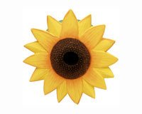 Sunflower Birdhouse