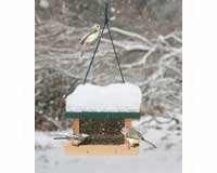 Little Looker Bird Feeder