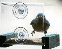 Mini Green Window Feeder