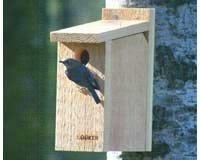 Bluebird House View Thru
