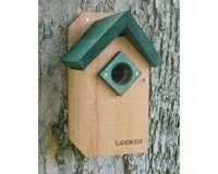 Bluebird House Green Roof