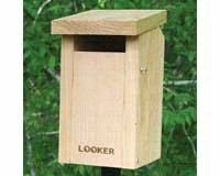 Bluebird House Slot