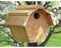 Carolina Wren House All Purpose