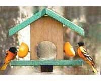 Oriole Feeder â€“Fruit And Jelly â€“ Cedar Green Roof