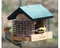 2 Suet and A Seed