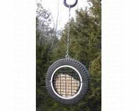 Wilbur's Woodpecker Wheel
