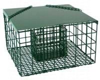 Squirrel Resistant Suet Palace