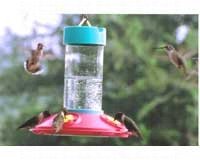 Hummingbird Feeder â€“Clean  â€“ 16 Oz Red Base