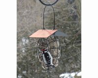Suet Ball Copper Roof Round Wire Circle Feeder