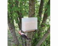 Suet Saver Feeder Large