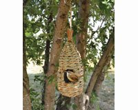 Hanging Grass Roosting Pocket Teardrop