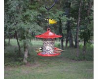 Dial-A-Seed Feeder Red