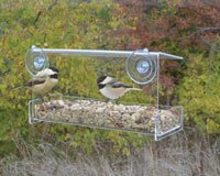 Clear View Open Diner Window Feeder