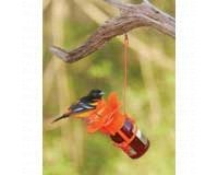 Oriole Feeder â€“ Orange Blossom â€“ Jelly And Jam
