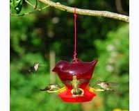 Hummingbird Feeder â€“ Red Bird â€“ Red Color