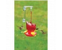 Window Red Bird Hummingbird Feeder