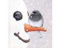 Magnet, Nosey Junco