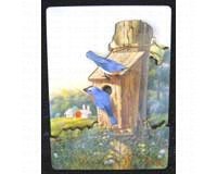 Magnet, Summer Bluebirds
