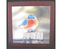 Mad Bluebird, Trivet