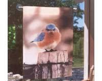 Flag Garden, Mad Bluebird