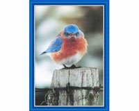 Puzzle, Mad Bluebird 500 piece Puzzle