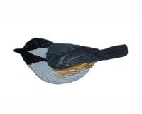 Chickadee Magnet