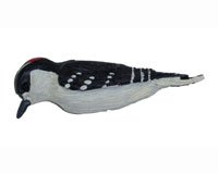 Woodpecker Magnet