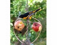 Oriole Feeder â€“ Double Fruit â€“ Johnny Apple