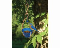 Copper Bluebird Mealworm Feeder