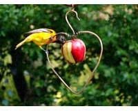 Oriole Feeder â€“ Single Fruit  â€“ Heart Shaped