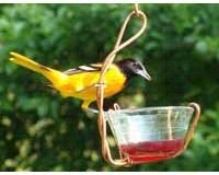 Single Jelly Cup Feeder