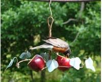 Oriole Fruit Feeder