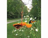 Oriole Feeder â€“ Single Cup Fruit And Jellyâ€“ Copper