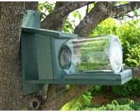 Recycled Plastic Squirrels in Jar Feeder