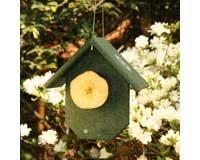 Oriole Feeder â€“ Fruit Feeder â€“ Hunter Green