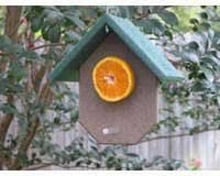 Oriole Feeder â€“ Fruit â€“ Hunter Driftwood