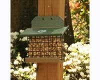 Squirrel Feeder Hunter Driftwood