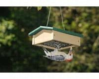 Small Upside Down Suet Feeder Hunter Driftwood