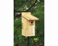 Ultimate Bluebird House