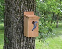 Cedar Bluebird House 1