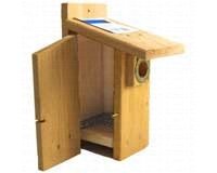 Western Bluebird Ultimate Bluebird House