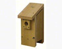 Small Hanging Wren House