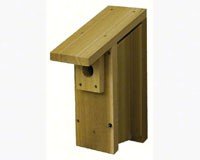 Bluebird House 1