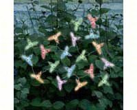 Solar Color Changing Light String Hummingbird 20 pcs Set
