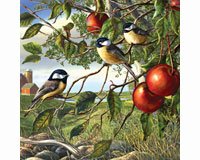 Chickadees and Apples 500 piece Puzzle