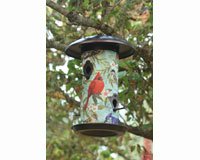 Bird Collage Bird Feeder