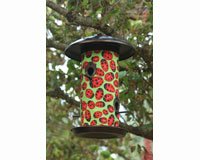 Lady Bugs Bird Feeder