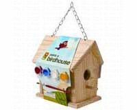 Paint-A-Bird House
